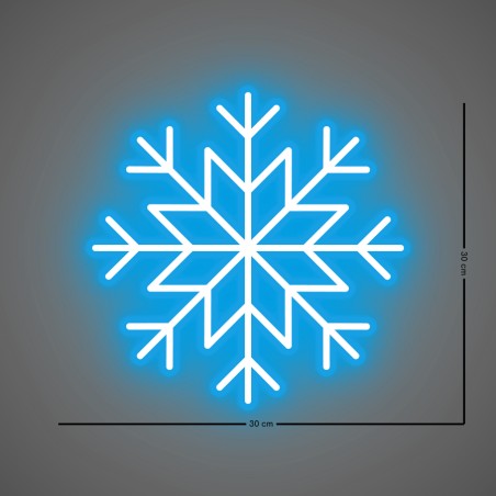 Le Flocon de Neige